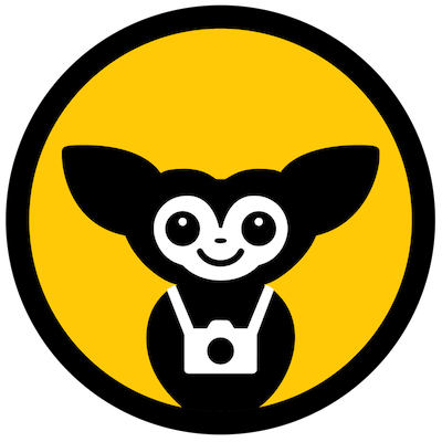 Big Photo Hunt logo